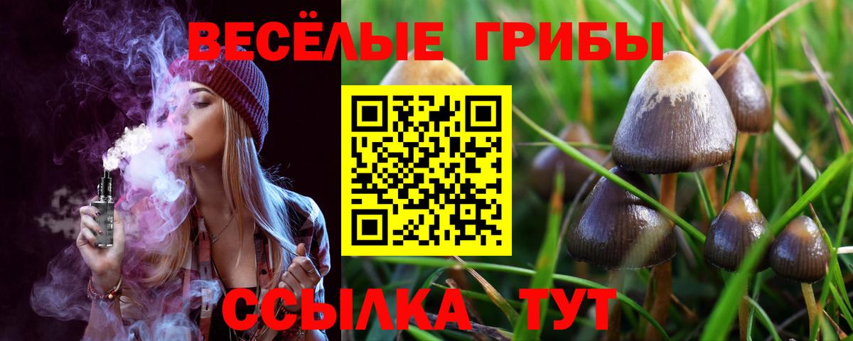 Канабис  Альфа ПВП СК   NBOMe  Экстази  Большой Камень  Мефедрон   Вход с VPN  Гашиш 